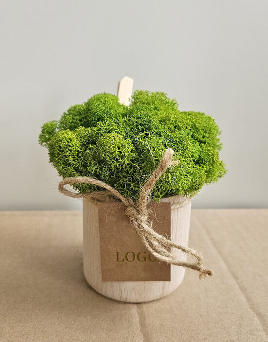 Dekoratyvinės samanos su įmonės logotipu